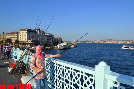 В Стамбул на рыбалку, или Долма из скумбрии (фотосессия)