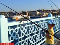 В Стамбул на рыбалку, или Долма из скумбрии (фотосессия)