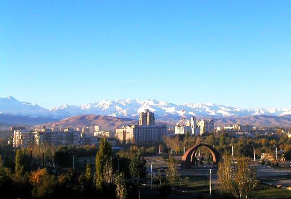 В Кыргызстане подготовят программу по замещению импорта