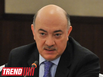 Top official: Azerbaijani president’s policy based on youth