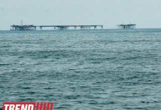 Turkmenistan to build sturgeon breeding farm on Caspian Sea shore