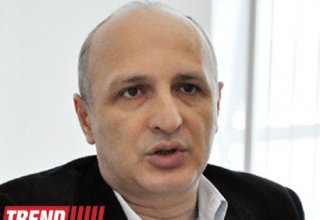 Former Georgian PM begins hunger strike