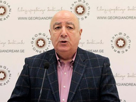 Georgian former FM: West sceptical over Georgian political changes