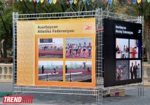 Прошло массовое мероприятие в честь 20-летия Национального Олимпийского комитета Азербайджана (ФОТО)
