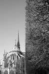 Черно-белый Париж глазами Вугара Мурадова (фотосессия)