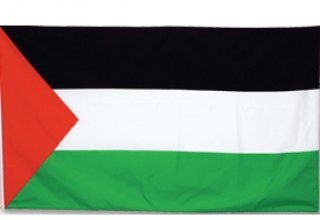Палестина намерена обратиться в МУС с иском против Израиля, если получит статус в ООН