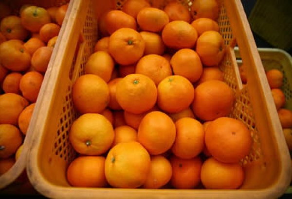 Georgia’s tangerine exports double