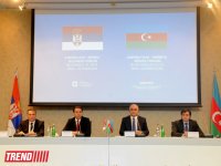 Minister: Ties between Azerbaijan and Serbia developing dynamically (PHOTO)