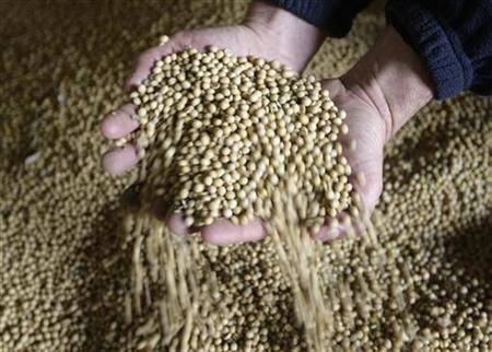 India eyes 1mn T soymeal exports to Iran in 2012/13