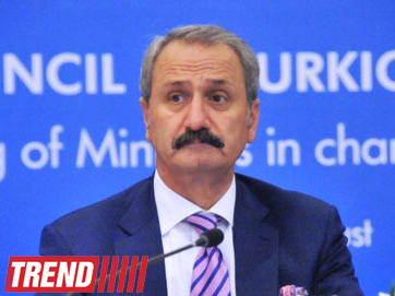 Minister: Some forces not interested in Turkey’s economic development