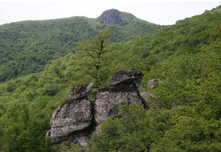 Национальные парки Азербайджана посетили 80 тыс. туристов - минэкологии