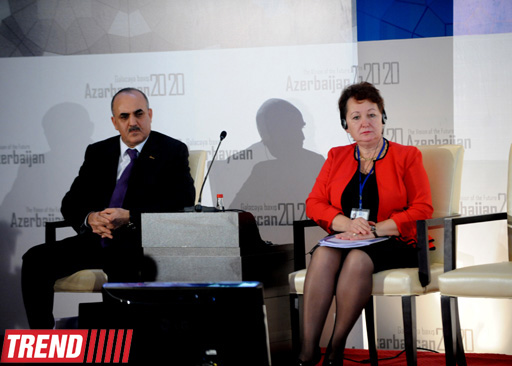 Top official: Azerbaijan created economic model based on democratic principles for 20 years (PHOTO)