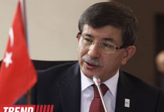 Foreign Minister: Turkey to overcome Taksim events