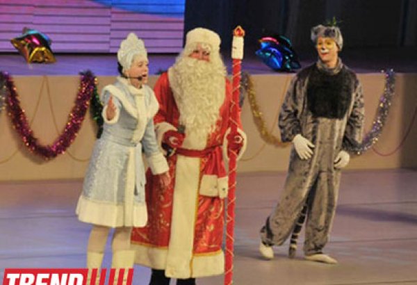 Деды Морозы, Снегурочки и фотографы будут работать в Баку по лицензии