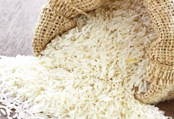 Iran imports 1.2 million tons of rice