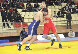 Iran submits application for 2015 World Wrestling Tournament