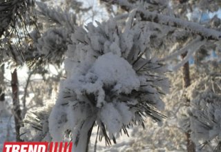 В Азербайджане определяют объемы запасов снега