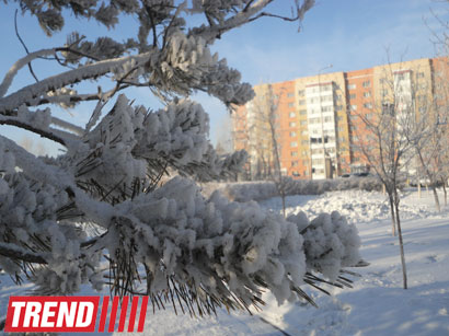 В Казахстане в воскресенье ожидается аномальное похолодание
