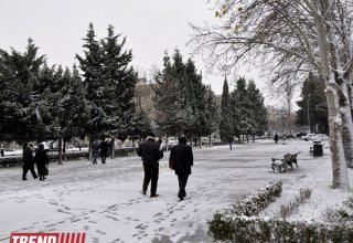 В Баку пошел первый снег
