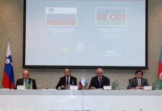 Для взаимных инвестиций между Словенией и Азербайджаном существуют большие возможности - министр (ФОТО)