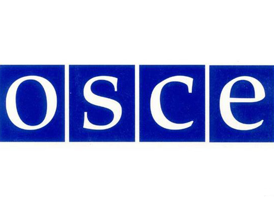 Еще одна группа наблюдателей задержана на востоке Украины - ОБСЕ