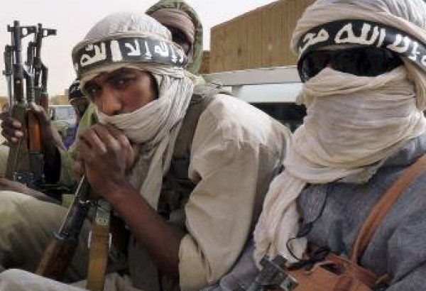 Террористы, захватившие заложников в Алжире, пришли с севера Мали - премьер