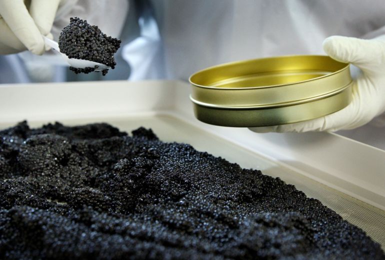 Georgia to launch production of black caviar