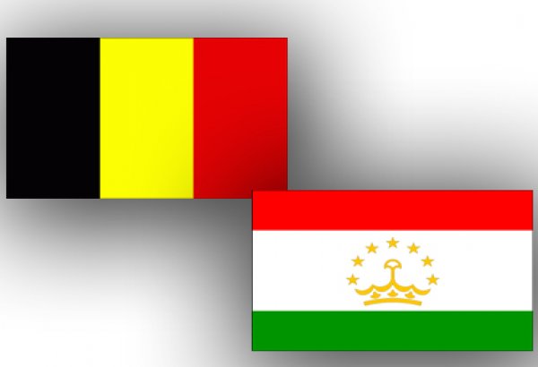 Бельгия и Таджикистан обсудили вопросы сотрудничества