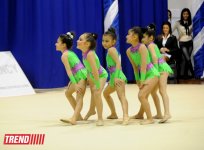 Bədii gimnastika üzrə ХХ  Bakı birinciliyinin qalibləri müəyyən olunub (FOTO)