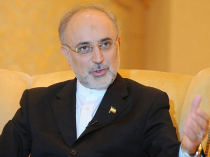 Salehi: Iran decides about level, extent of enrichment