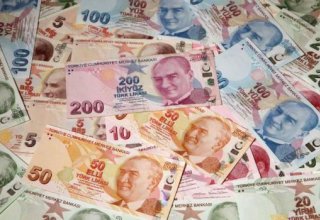 Курс турецкой лиры по отношению к евро обновил рекордный минимум