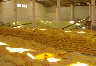 В Казахстане зафиксирован рост объемов производства серы