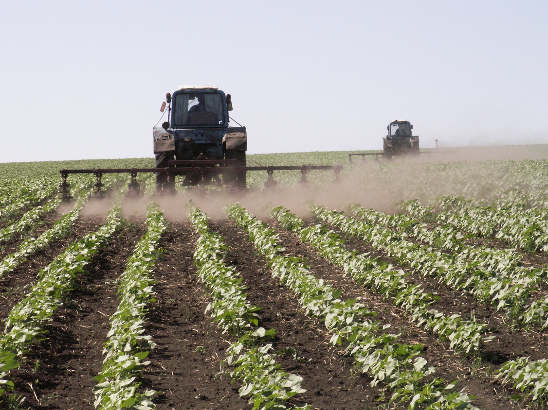 Belarus to expand supplies of agricultural machinery to Uzbekistan