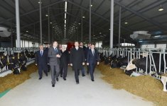 President Ilham Aliyev inaugurates cattle breeding and milk processing complex in Gabala (PHOTO)
