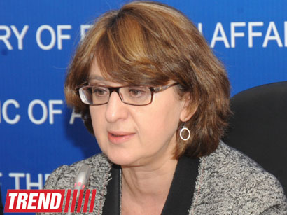 Provocateurs intend to aggravate Azerbaijani-Georgian relations, FM says