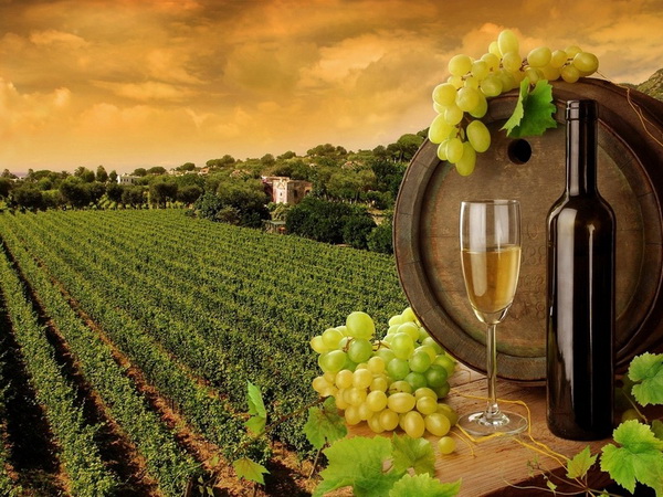 Georgia to host international wine tourism conference in 2014