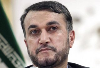 Iran’s deputy FM slams Egypt for "not allowing in Iranian aid for Gaza"