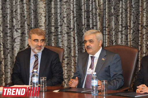 Азербайджан и Турция совместно могут инвестировать в третьи страны - Танер Йылдыз (ФОТО)