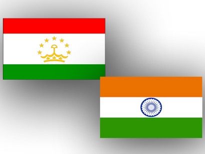 Таджикистан и Индия обсудили развитие двусторонних отношений