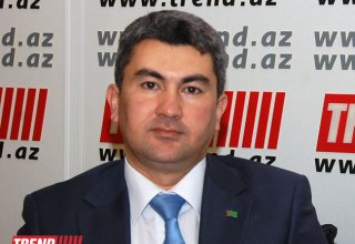 Ахалтекинец – гордость и слава Туркменистана!