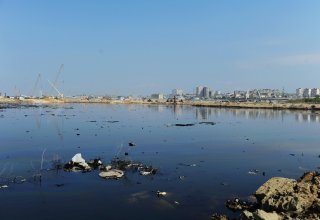 В Баку завершена очистка территории под строительство Олимпийского стадиона (ФОТО)