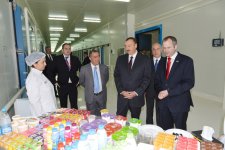 Azerbaijani President opens factories under AzFP CO LTD in Hokmali (PHOTO)