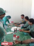 Минюст Азербайджана проводит акцию по сдаче донорской крови (ФОТО)