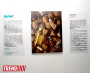 YARAT! представил выставку работ в центре "Службы ASAN" (фото)