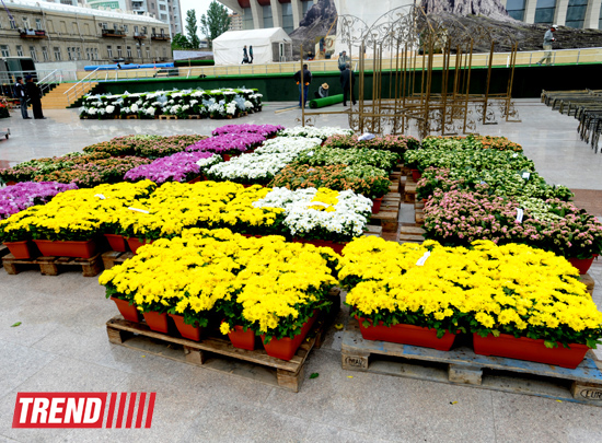 В Баку готовятся к Празднику цветов (ФОТО)