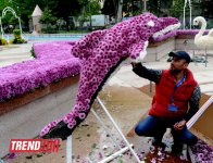 В Баку готовятся к Празднику цветов (ФОТО)