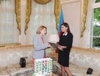 Первая леди Азербайджана встретилась с директором Версальского дворца (ФОТО)