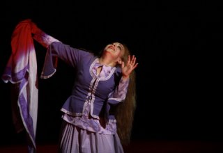 В Азербайджане дан старт проекту "Театральная культура" (фото)