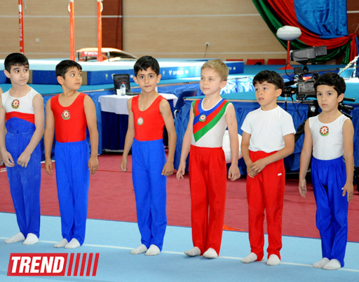 Определились сильнейшие спортивные гимнасты Азербайджана (ФОТО)