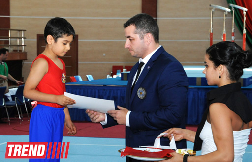 Определились сильнейшие спортивные гимнасты Азербайджана (ФОТО)